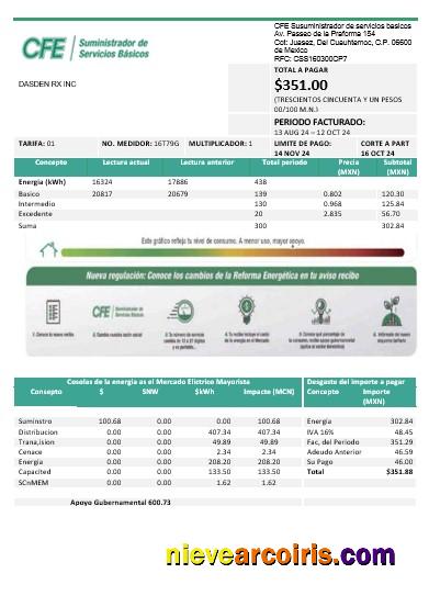 Mexico Electricity CFE business utility bill